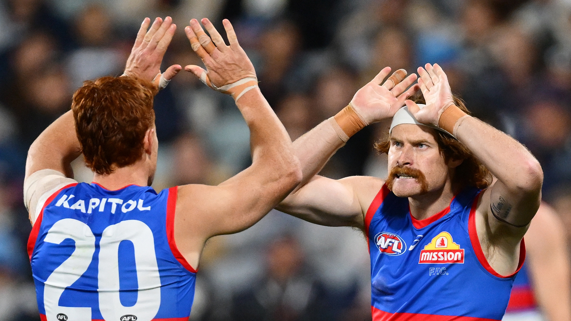 Port Adelaide Power vs Western Bulldogs AFL Round 9 Tips & Predictions