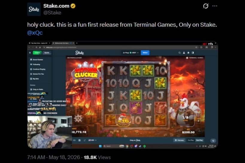 Twitter xQc Hatches Mega Win