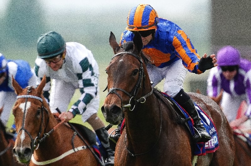 true love newmarket true love newmarket