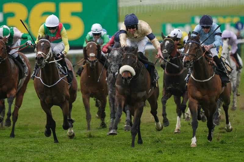 washington heights stakes washington heights stakes