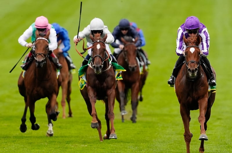 precise newmarket