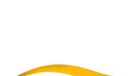 Spelinspektionen