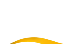 The Festival Series