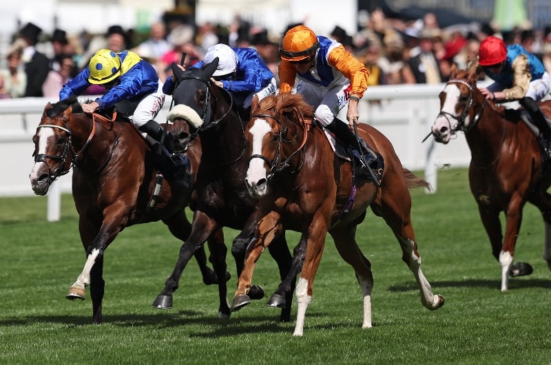 ascot ascot