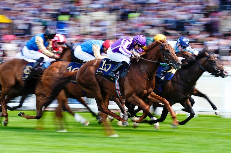 ascot ascot