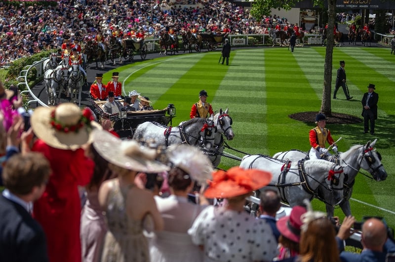 ascot ascot
