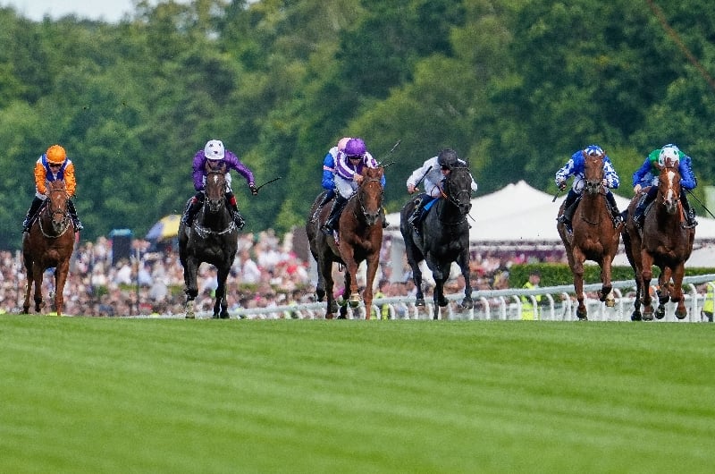 ascot ascot