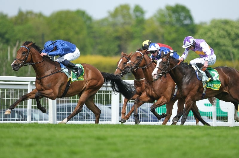 fifth column handicap