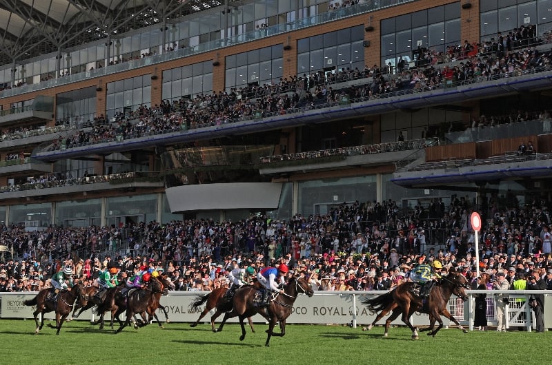 ascot