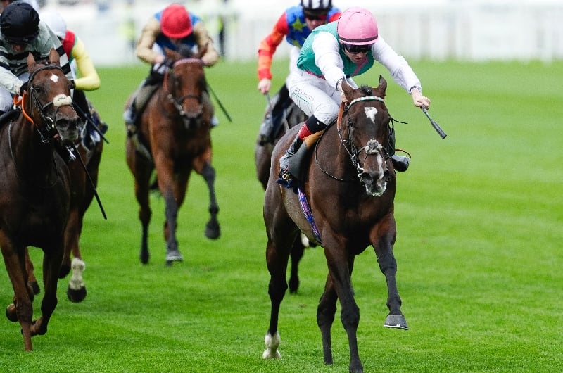 ascot