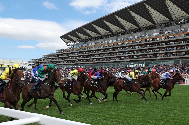 ascot
