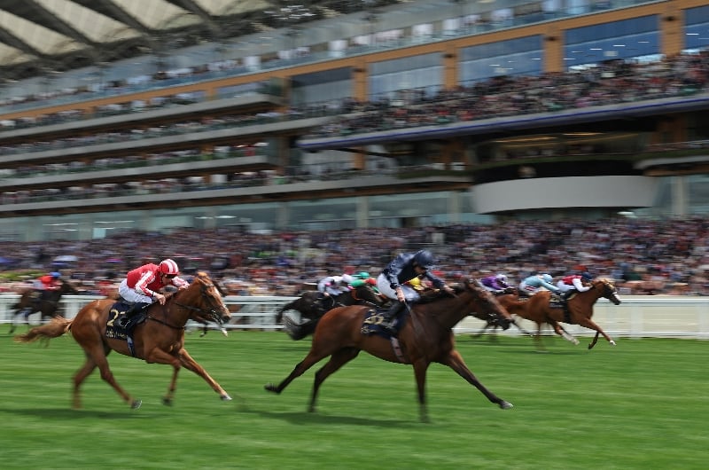 ascot
