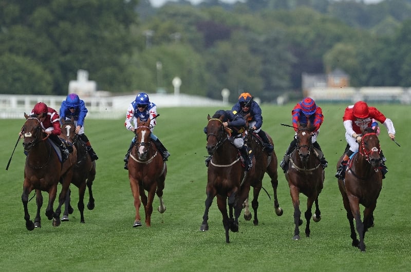 ascot