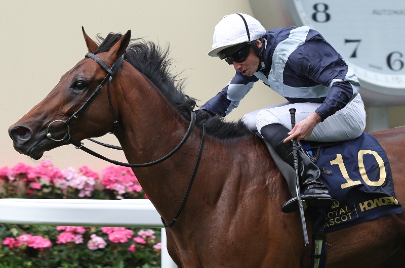 ascot ascot