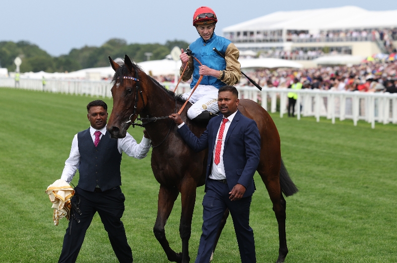 ascot ascot