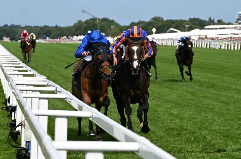 ascot ascot