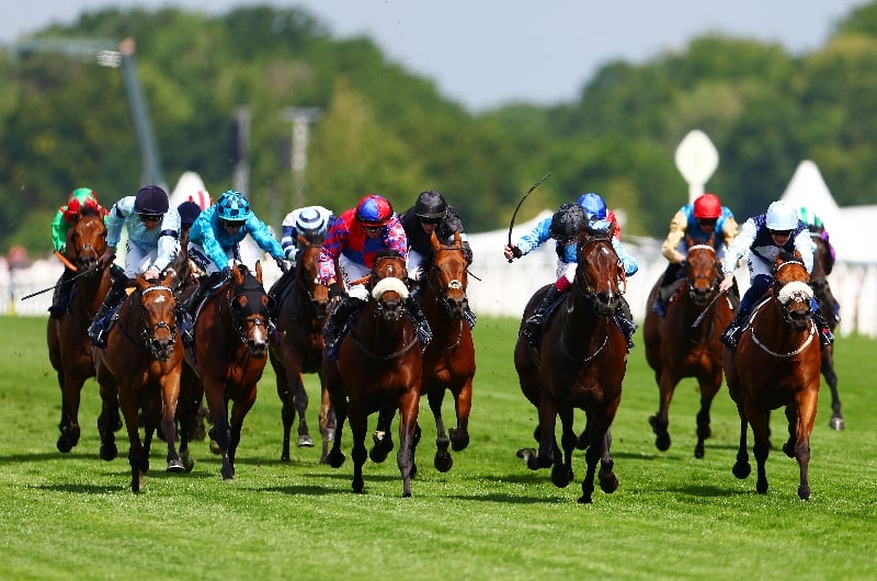 asfoora ascot asfoora ascot