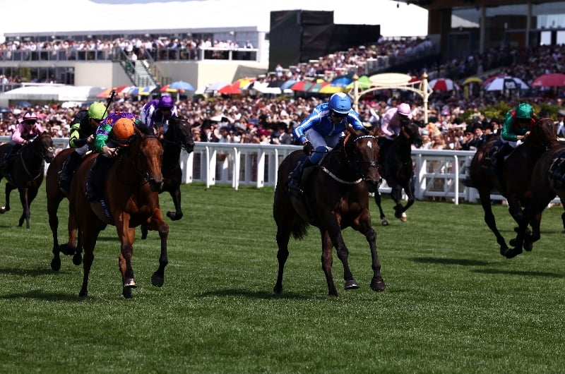 ascot