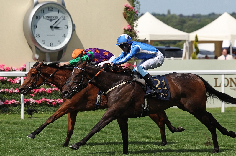 ascot