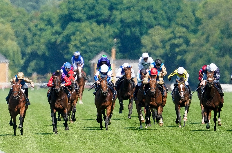 ascot