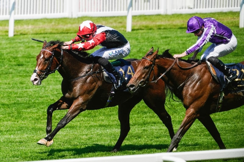 ascot