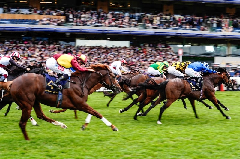 ascot