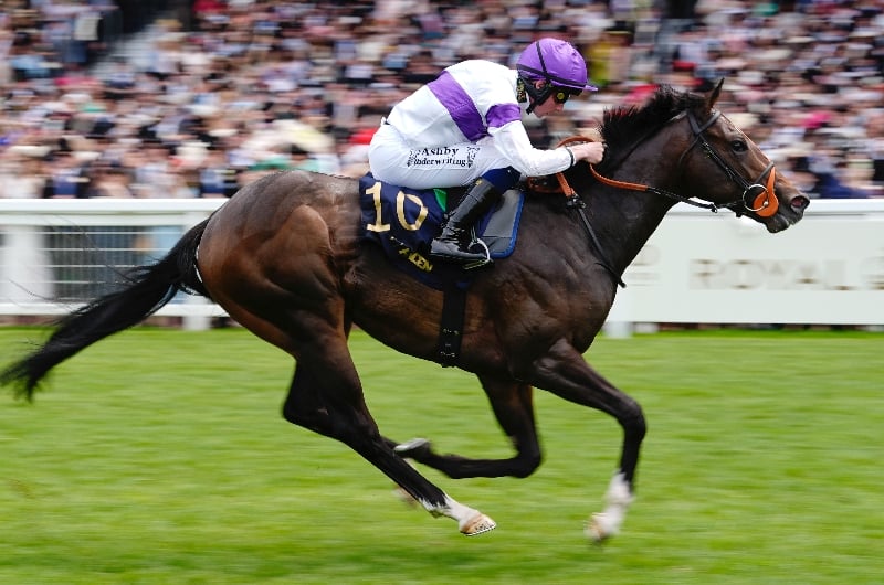 ascot