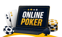 Best UK Sites for Beginners