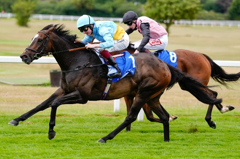 rumstar sandown rumstar sandown