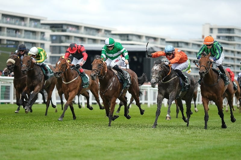 newbury super sprint