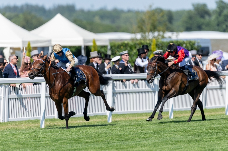 opportunity ascot opportunity ascot