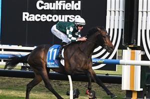 Memsie Stakes