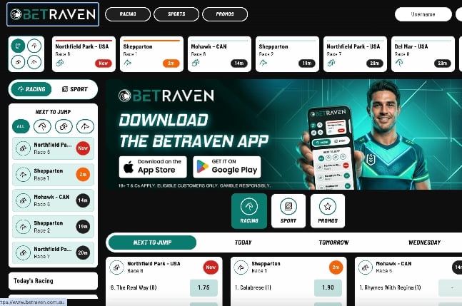 BetRaven