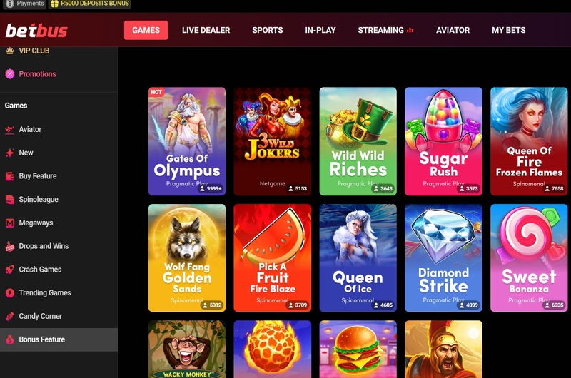 BetBus Casino