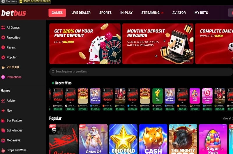 BetBus Review