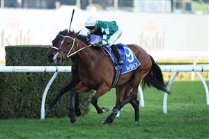 SYDNEY, AUSTRALIA - AUGUST 23: James McDonald riding  Via Sistina win Race 8 Winx Stakes during Sydney Racing at Royal Randwick Racecourse on August 23, 2025 in Sydney, Australia. (Photo by Jeremy Ng/Getty Images)