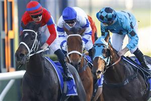 SYDNEY, AUSTRALIA - AUGUST 21: Tommy Berry (R) on Mo'unga winning the 2021 Winx Stakes at Royal Randwick. (Getty)