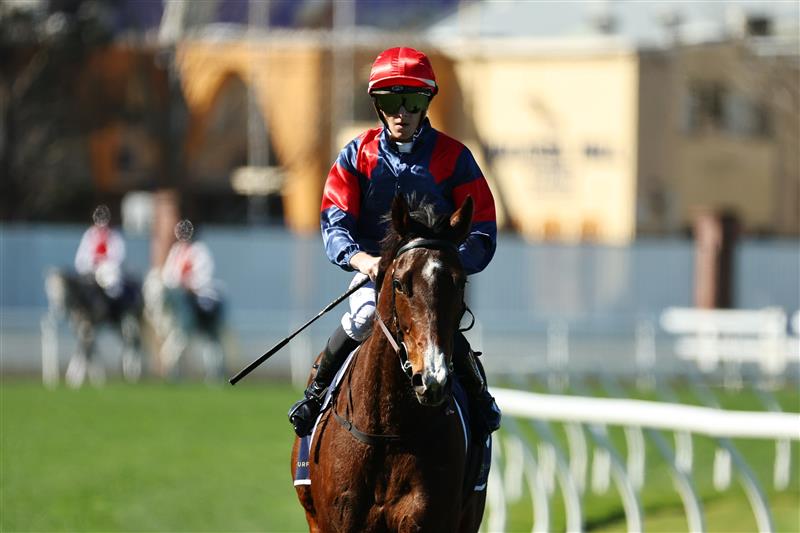 SYDNEY, AUSTRALIA - AUGUST 22: Ethan Brown riding Foire De Trone win Race 3 Jersey Day Andrew Wisemantel during Sydney Racing at Royal Randwick Racecourse on August 22, 2026 in Sydney, Australia. (Photo by Jeremy Ng/Getty Images)