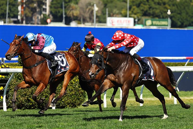 SYDNEY, AUSTRALIA - AUGUST 22: Dylan Gibbons riding Clear Proof win Race 1 Midway during Sydney Racing at Royal Randwick Racecourse on August 22, 2026 in Sydney, Australia. (Photo by Jeremy Ng/Getty Images)