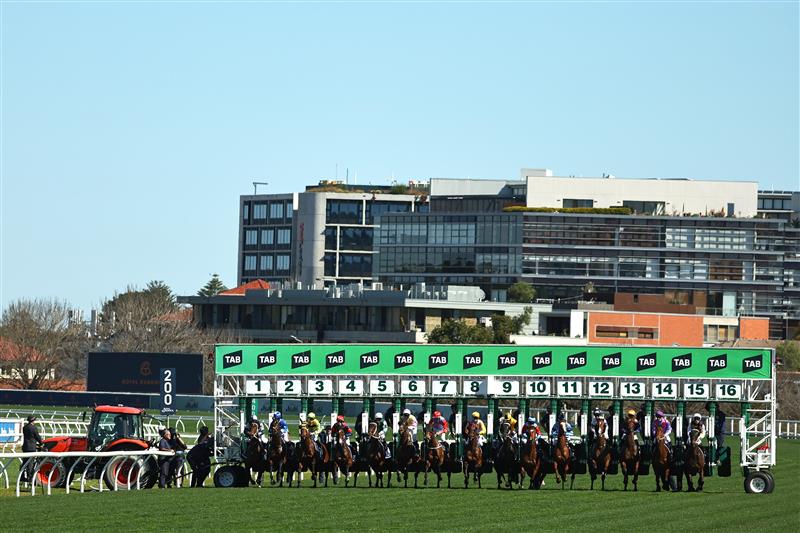 SYDNEY, AUSTRALIA - AUGUST 22: A general view of the start in Race 3 Jersey Day Andrew Wisemantel during Sydney Racing at Royal Randwick Racecourse on August 22, 2026 in Sydney, Australia. (Photo by Jeremy Ng/Getty Images)