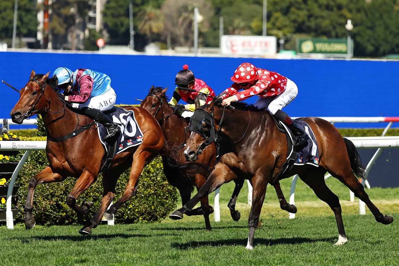 SYDNEY, AUSTRALIA - AUGUST 22: Dylan Gibbons riding Clear Proof win Race 1 Midway during Sydney Racing at Royal Randwick Racecourse on August 22, 2026 in Sydney, Australia. (Photo by Jeremy Ng/Getty Images)