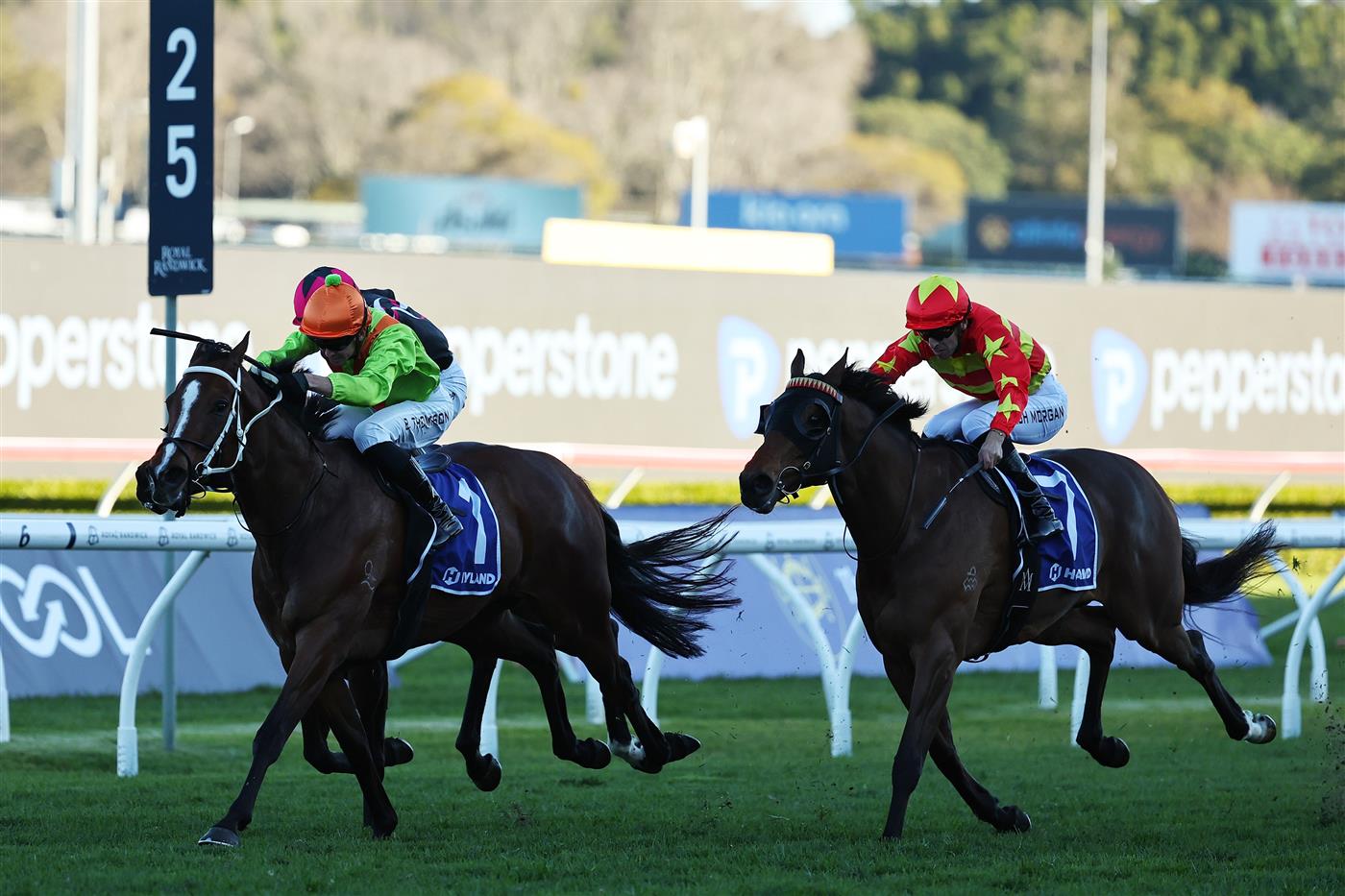 SYDNEY, AUSTRALIA - AUGUST 22: Ben Thompson  riding Midnight In Tokyo win Race 8 Hyland Race Colours Show County Quality during Sydney Racing at Royal Randwick Racecourse on August 22, 2026 in Sydney, Australia. (Photo by Jeremy Ng/Getty Images)