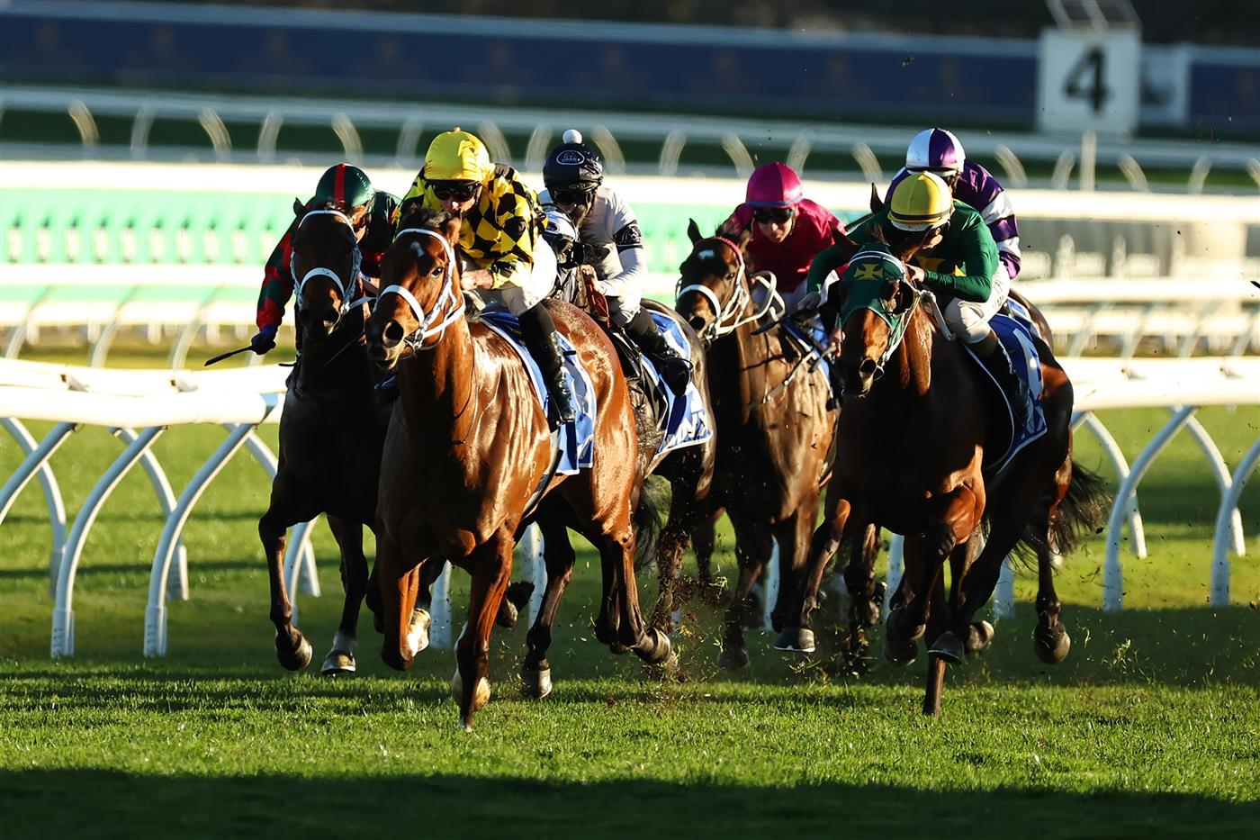 SYDNEY, AUSTRALIA - AUGUST 22: James McDonald  riding Autumn Glow win Race 9 Winx Stakes during Sydney Racing at Royal Randwick Racecourse on August 22, 2026 in Sydney, Australia. (Photo by Jeremy Ng/Getty Images)