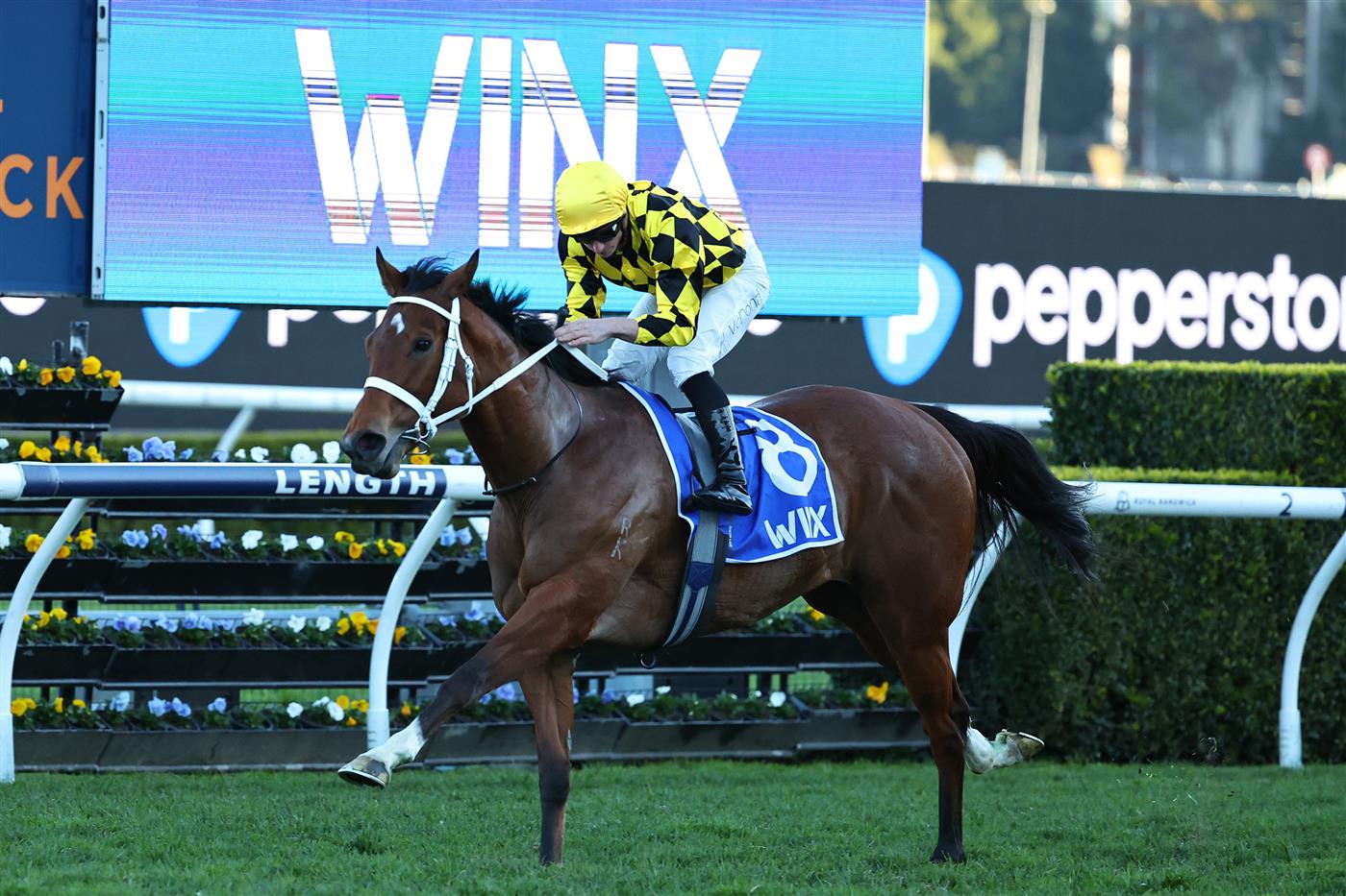 SYDNEY, AUSTRALIA - AUGUST 22: James McDonald  riding Autumn Glow win Race 9 Winx Stakes during Sydney Racing at Royal Randwick Racecourse on August 22, 2026 in Sydney, Australia. (Photo by Jeremy Ng/Getty Images)