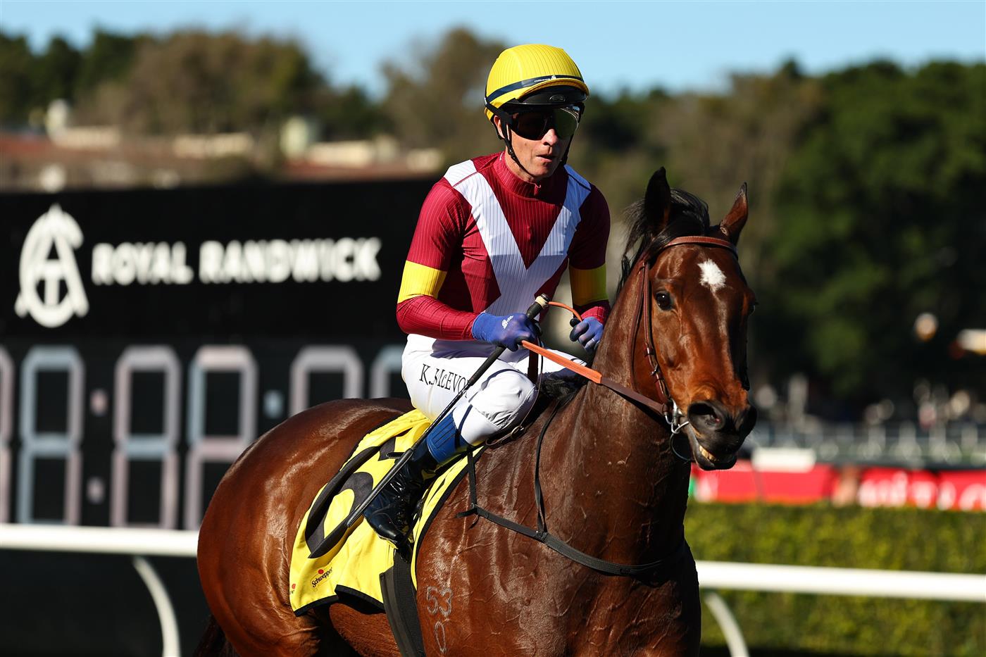 SYDNEY, AUSTRALIA - AUGUST 22: Kerrin Mcevoy  riding Prima Bella win Race 6 Schweppes Toy Show Quality during Sydney Racing at Royal Randwick Racecourse on August 22, 2026 in Sydney, Australia. (Photo by Jeremy Ng/Getty Images)