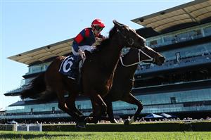 SYDNEY, AUSTRALIA - AUGUST 22: Ethan Brown riding Foire De Trone win Race 3 Jersey Day Andrew Wisemantel during Sydney Racing at Royal Randwick Racecourse on August 22, 2026 in Sydney, Australia. (Photo by Jeremy Ng/Getty Images)