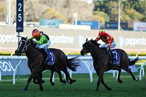 SYDNEY, AUSTRALIA - AUGUST 22: Ben Thompson  riding Midnight In Tokyo win Race 8 Hyland Race Colours Show County Quality during Sydney Racing at Royal Randwick Racecourse on August 22, 2026 in Sydney, Australia. (Photo by Jeremy Ng/Getty Images)