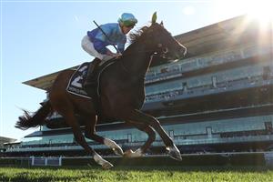 SYDNEY, AUSTRALIA - AUGUST 22: James McDonald  riding Pembrey win Race 7 HKJC World Pool Silver Shadow Stakes during Sydney Racing at Royal Randwick Racecourse on August 22, 2026 in Sydney, Australia. (Photo by Jeremy Ng/Getty Images)