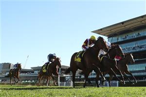 SYDNEY, AUSTRALIA - AUGUST 22: Kerrin Mcevoy  riding Prima Bella win Race 6 Schweppes Toy Show Quality during Sydney Racing at Royal Randwick Racecourse on August 22, 2026 in Sydney, Australia. (Photo by Jeremy Ng/Getty Images)