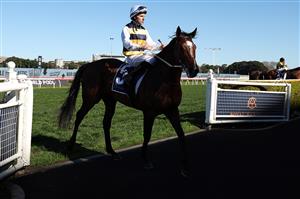 SYDNEY, AUSTRALIA - AUGUST 22: Tommy Berry riding Boniface win Race 5 Gold Coast Turf Club Premier's Cup at Royal Randwick Racecourse on August 22, 2026 in Sydney, Australia. (Getty)